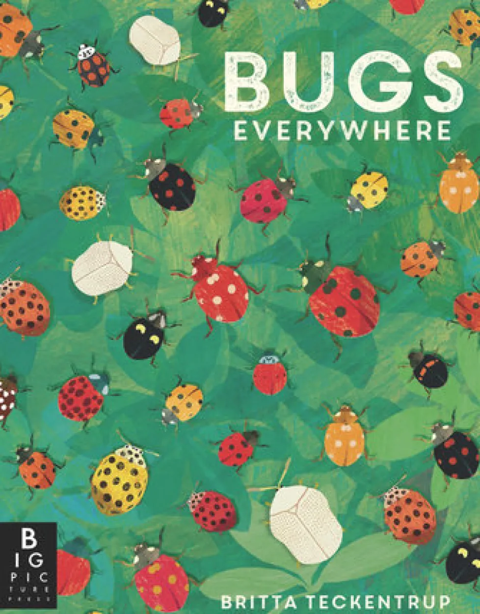 Bugs Everywhere