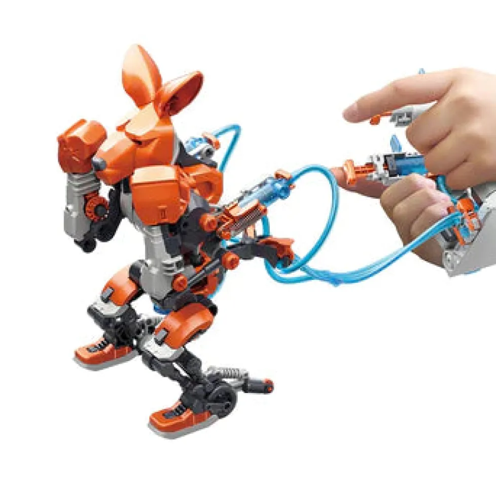 Thames & Kosmos: Hydraulic Boxing Bots