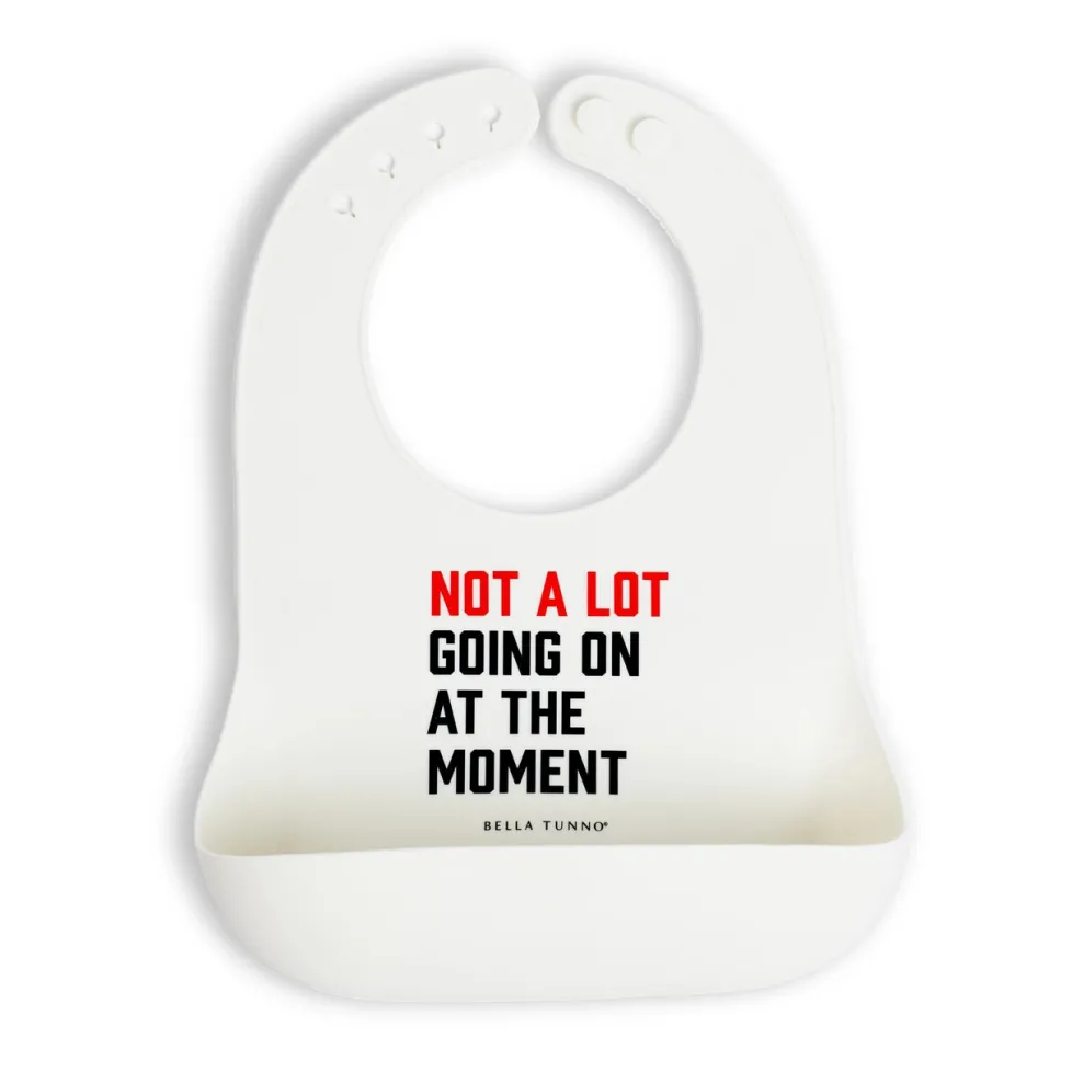 Bella Tunno Wonder Bib: Not A Lot Going On At the Moment