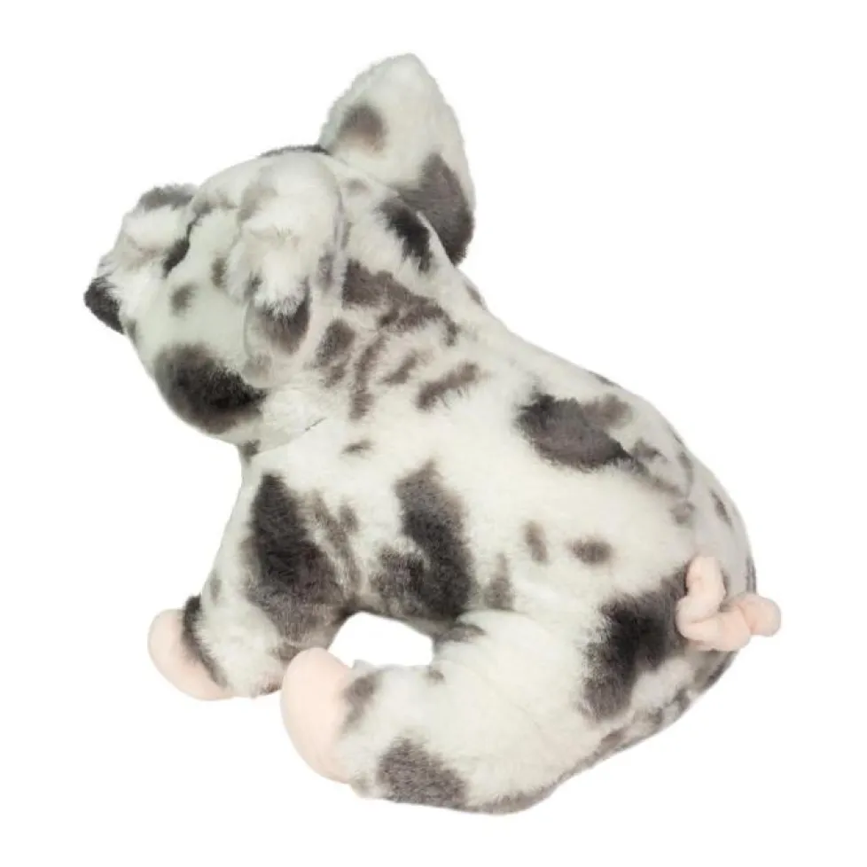 Douglas Soft Zoinkie Spotted Pig 9"