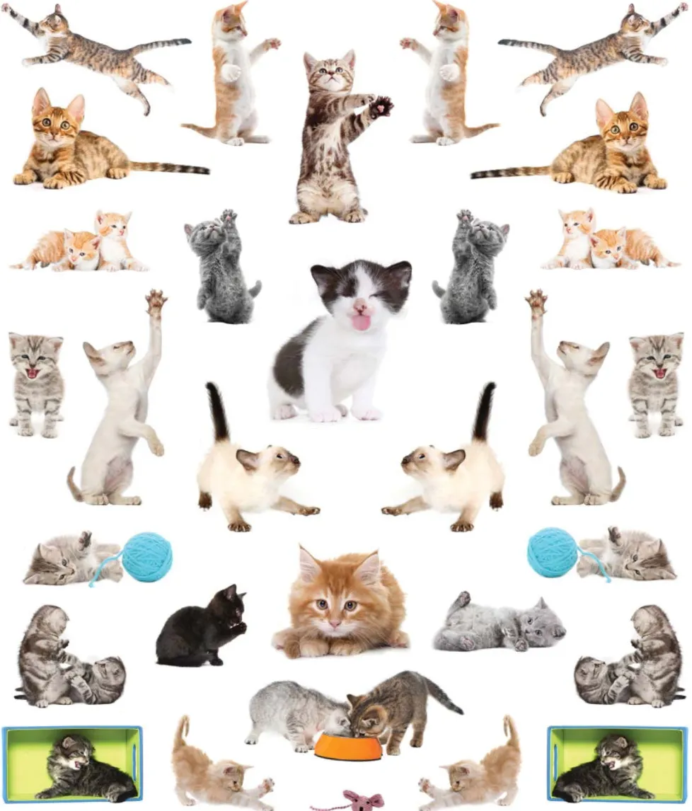 EyeLike Stickers: Kittens