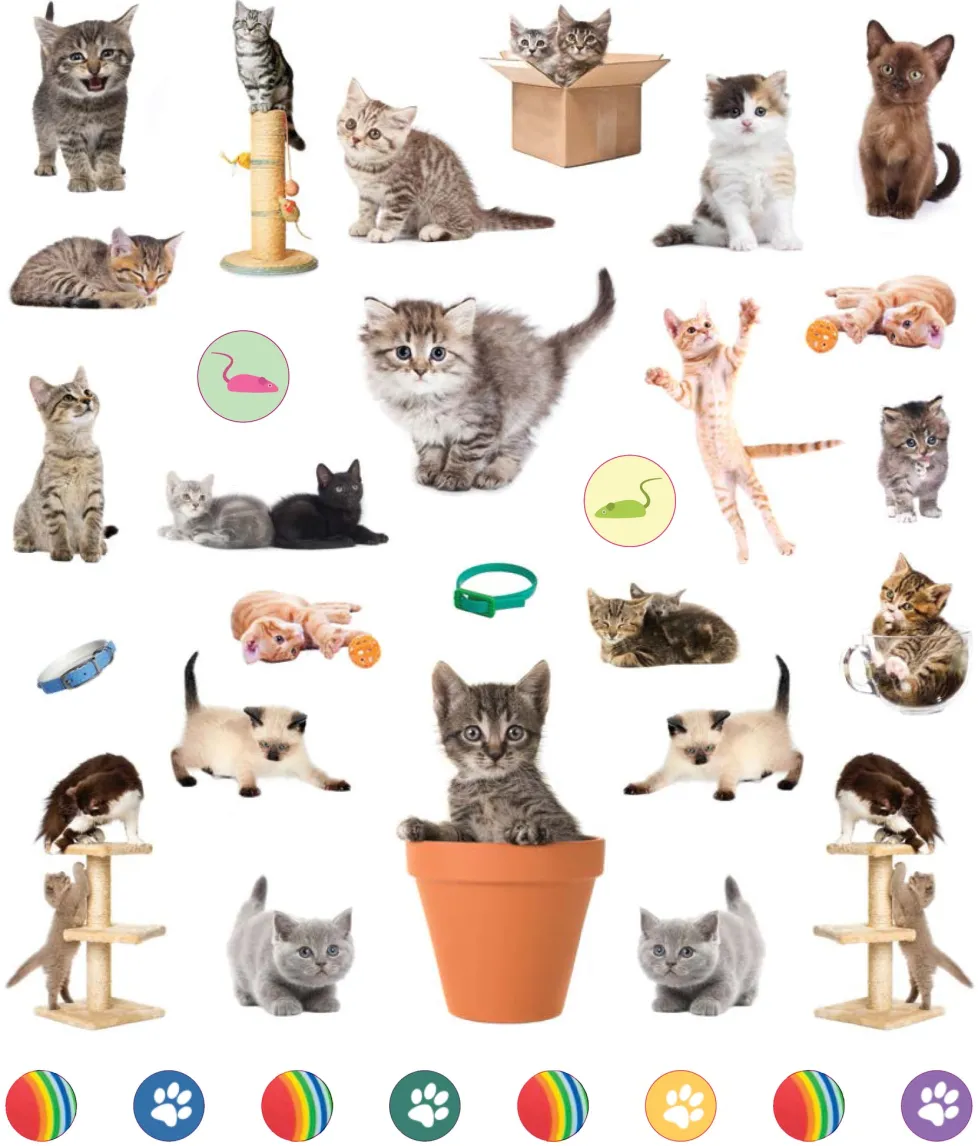 EyeLike Stickers: Kittens