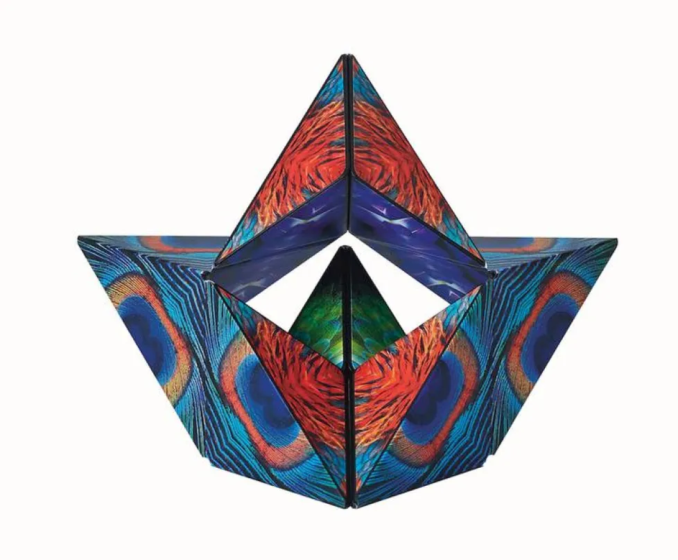 Shashibo Wings