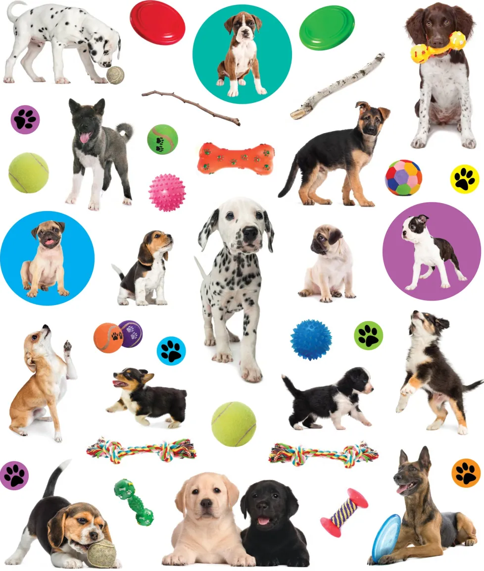 EyeLike Stickers: Puppies