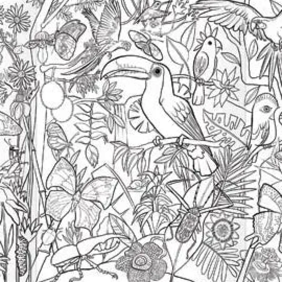 eeBoo Birds & Butterflies Biggie Pencils with Fold-Out Mini Mural