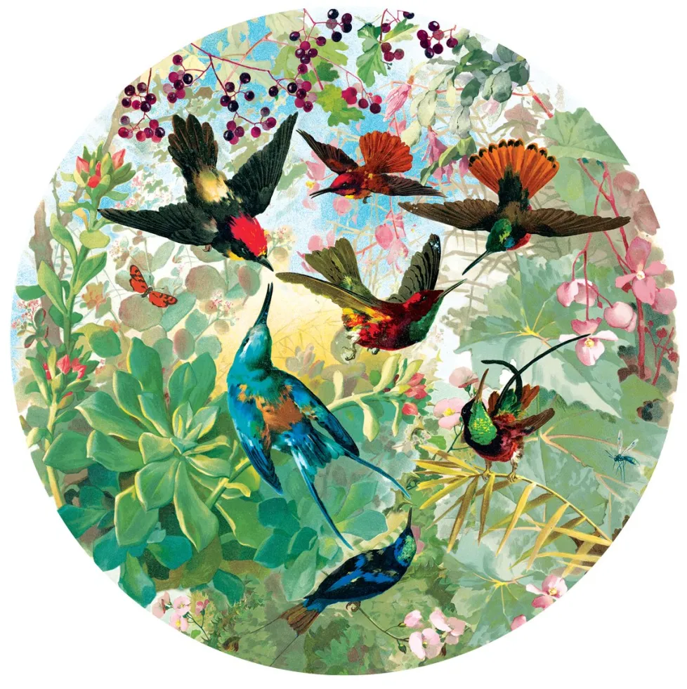 eeBoo 500 Piece Round Puzzle Hummingbirds