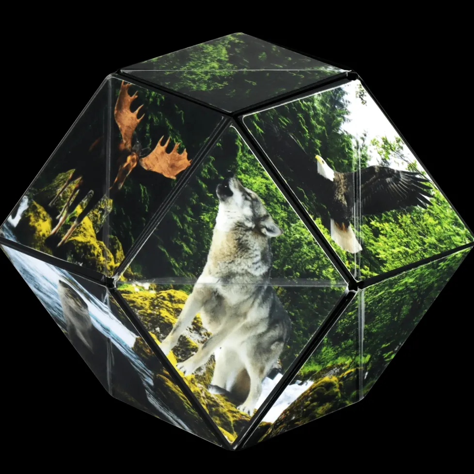 Shashibo Animal Series: Forest