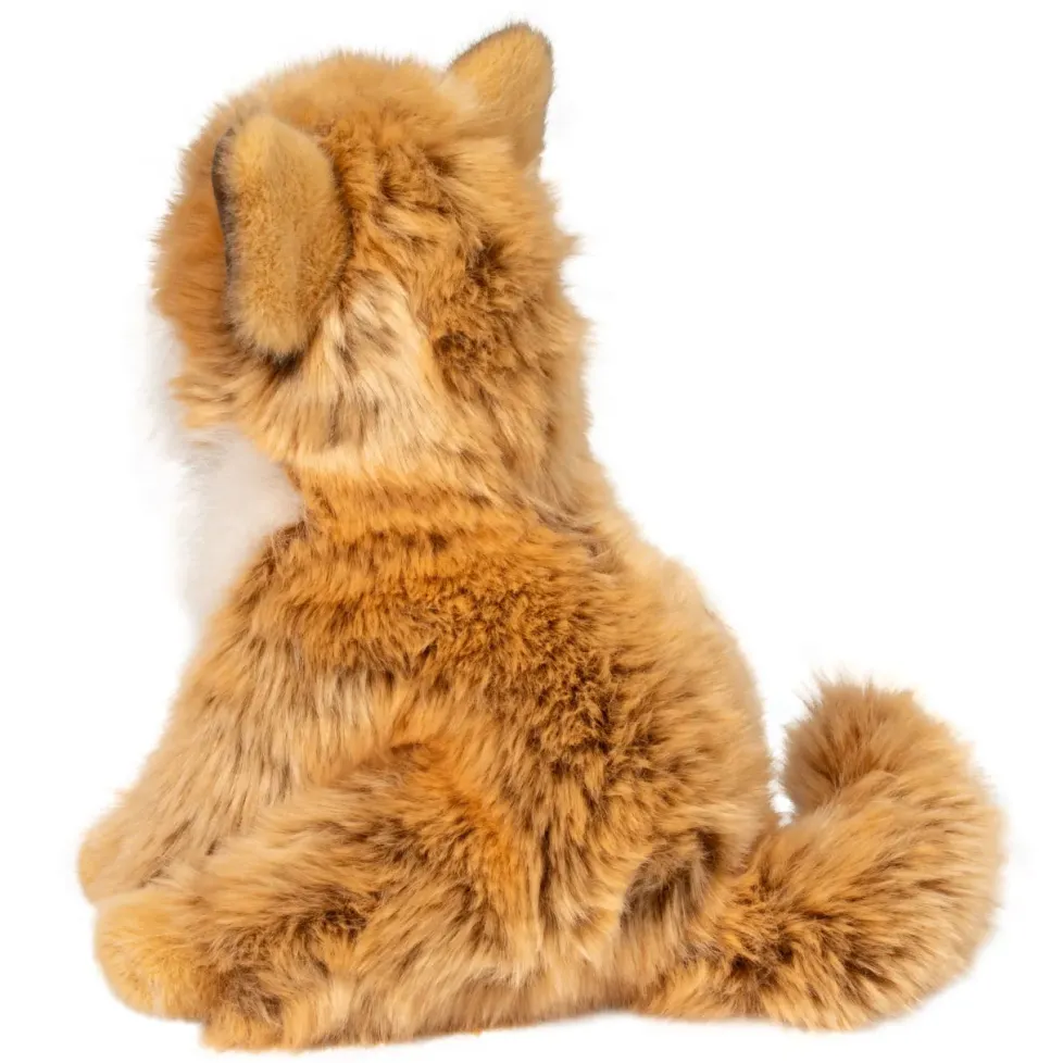 Douglas Dove Pomsky 9"
